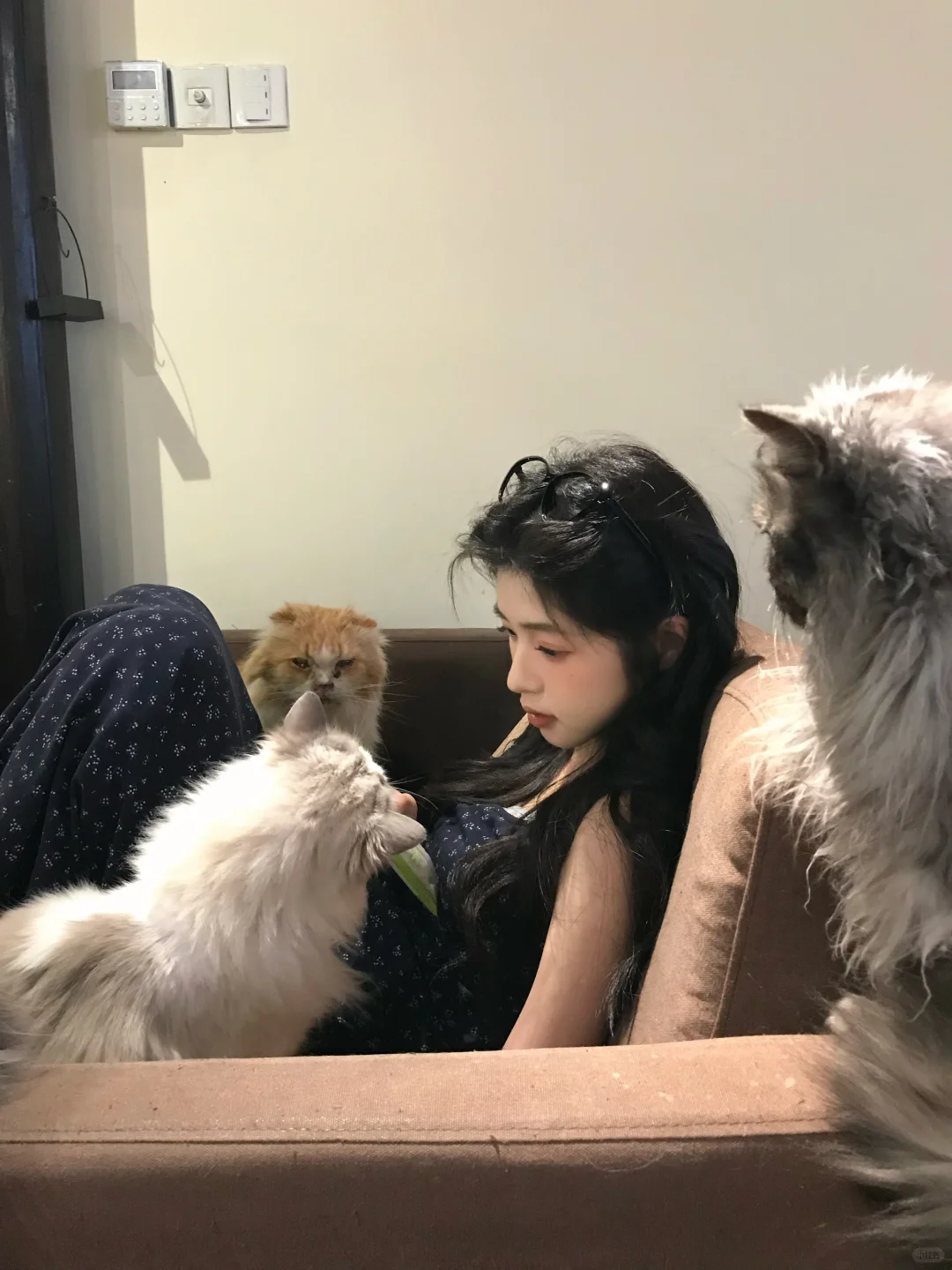 帮我看看哪张最韩最漂亮
