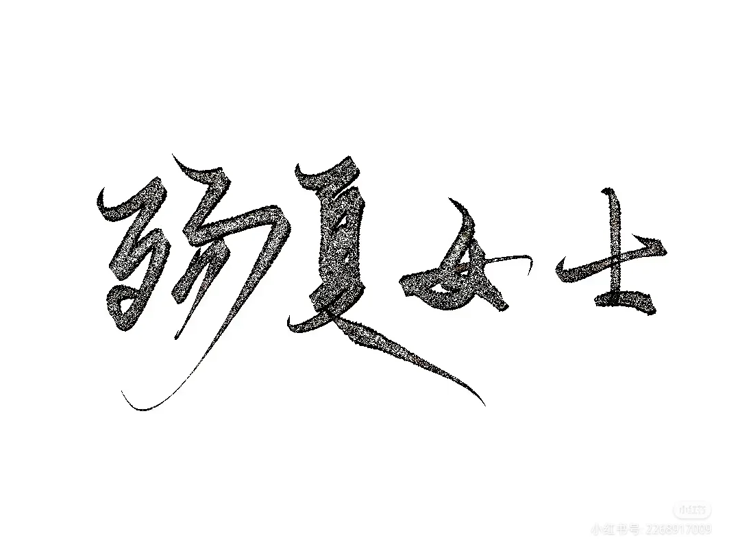 殇夏女士（AI禁止盗数据！）