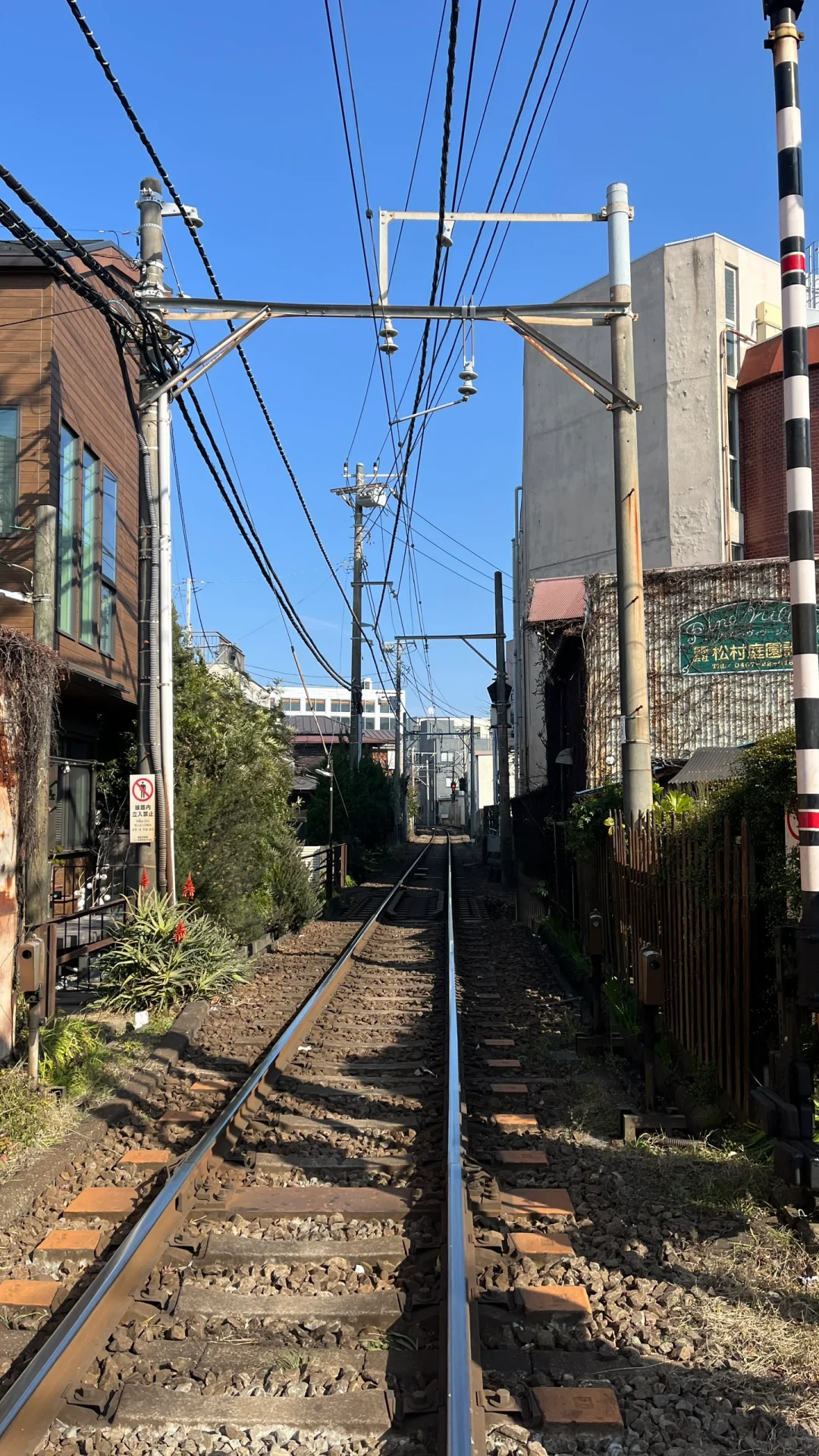 在日本拍下的手机壁纸