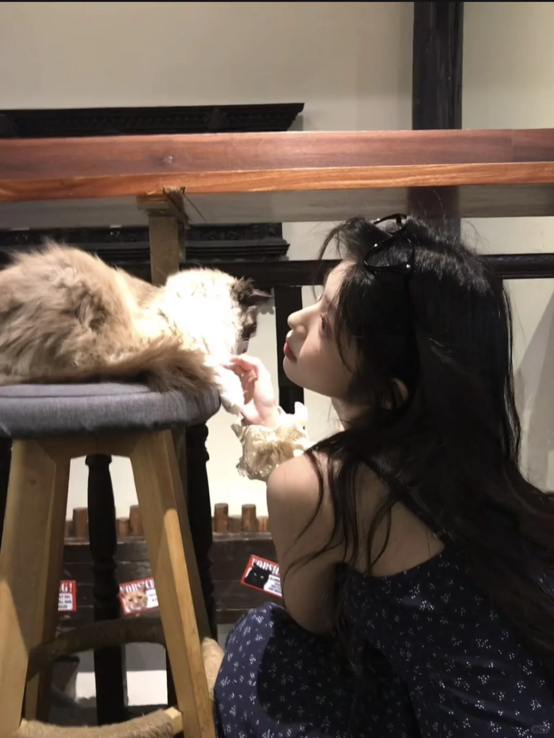 帮我看看哪张最韩最漂亮