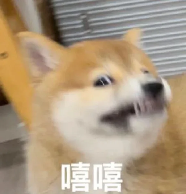 一些发癫表情包