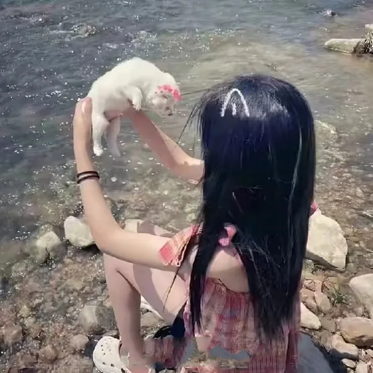可拿的哦