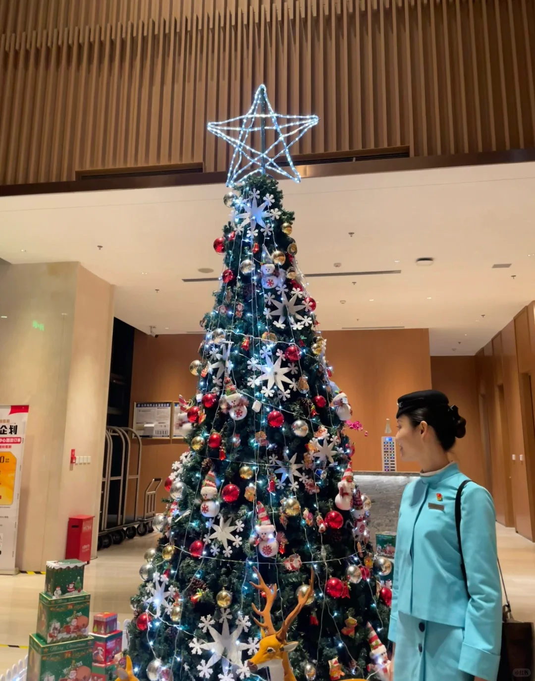 建议条件一般的女孩子 都来当空姐！！