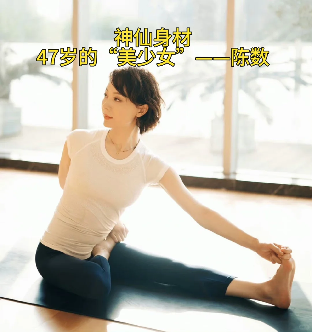 陈数:47岁的中年“美少女”的身材秘码