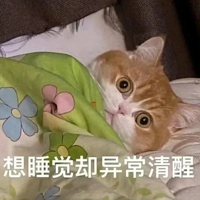 一些发癫表情包