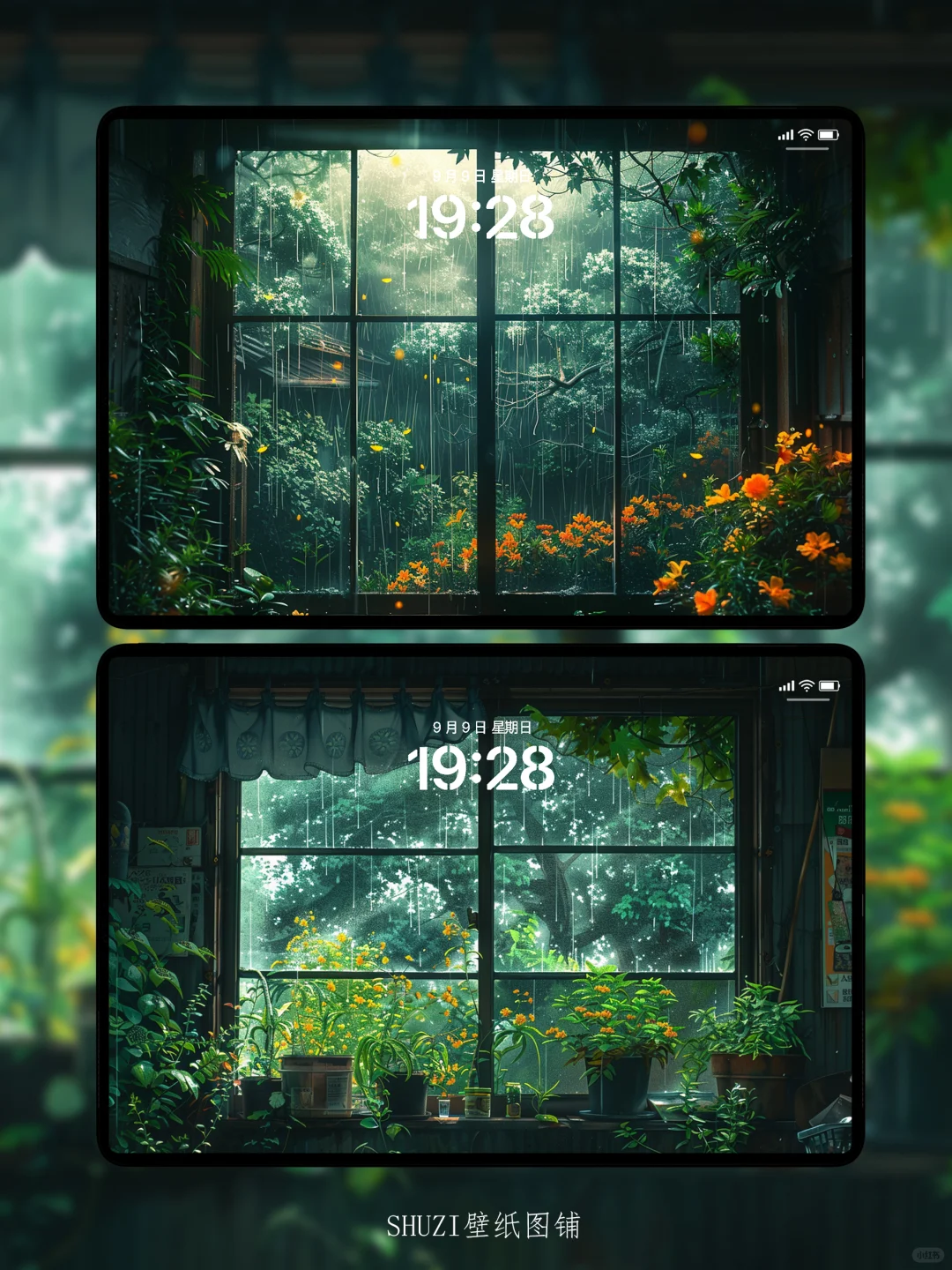 夏天的阴雨天｜高清壁纸