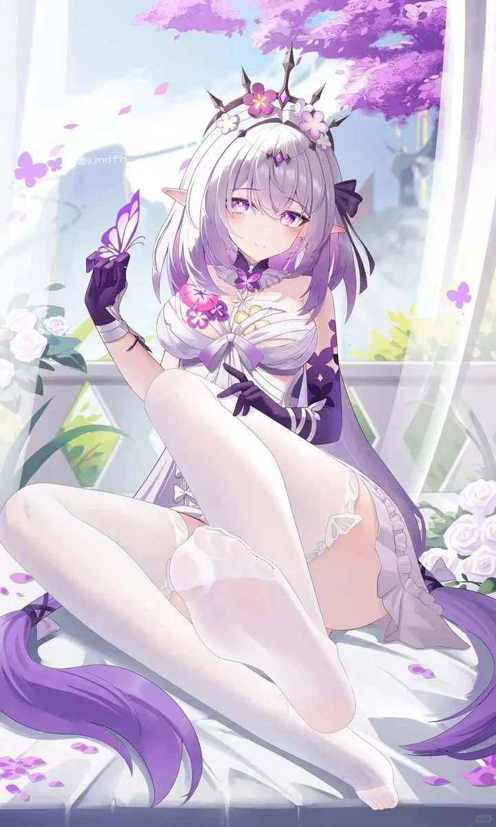 遐蝶白丝