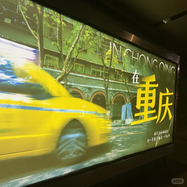 人生到那样的年龄和高度，爱很可贵