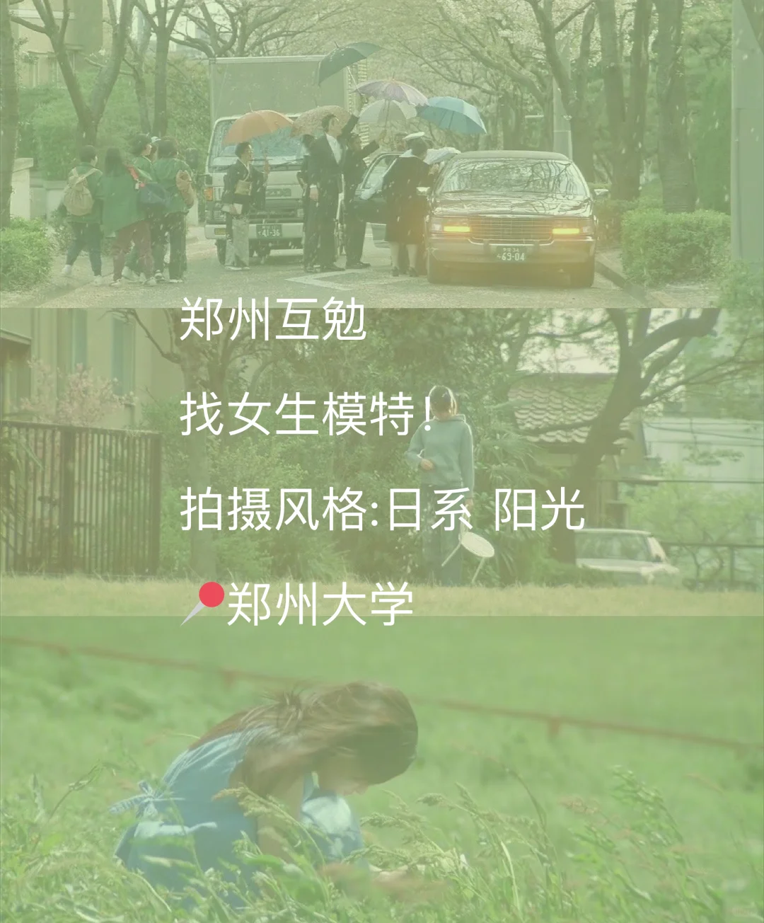 坐标郑州女摄｜寻找春日写真搭档！