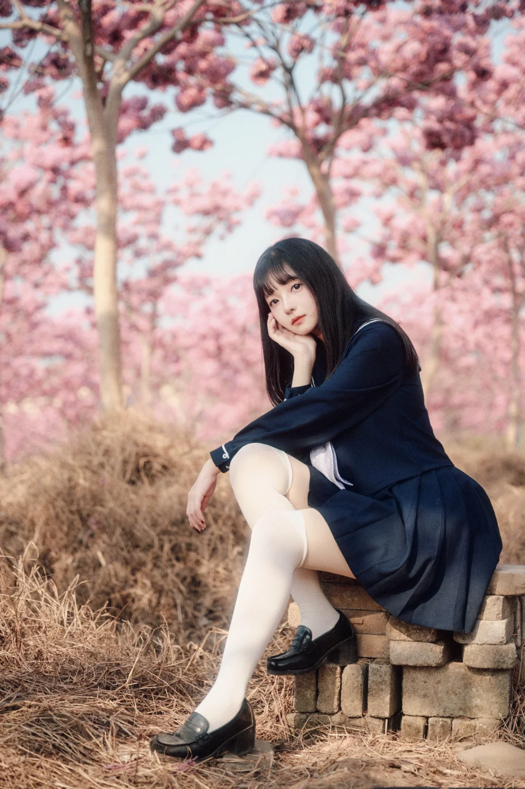 JK️紫花风铃木＝宇宙的终极浪漫