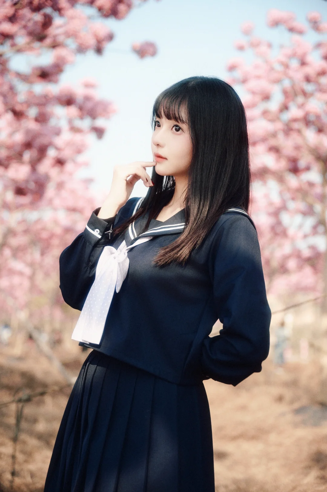 JK️紫花风铃木＝宇宙的终极浪漫