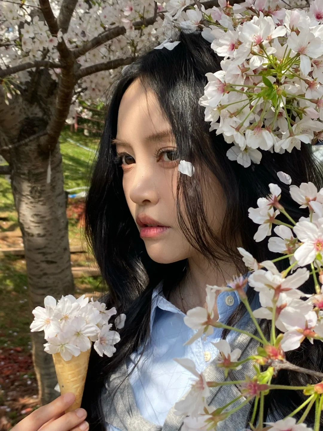 春日限定|在漫花庄园拍了组韩女写真