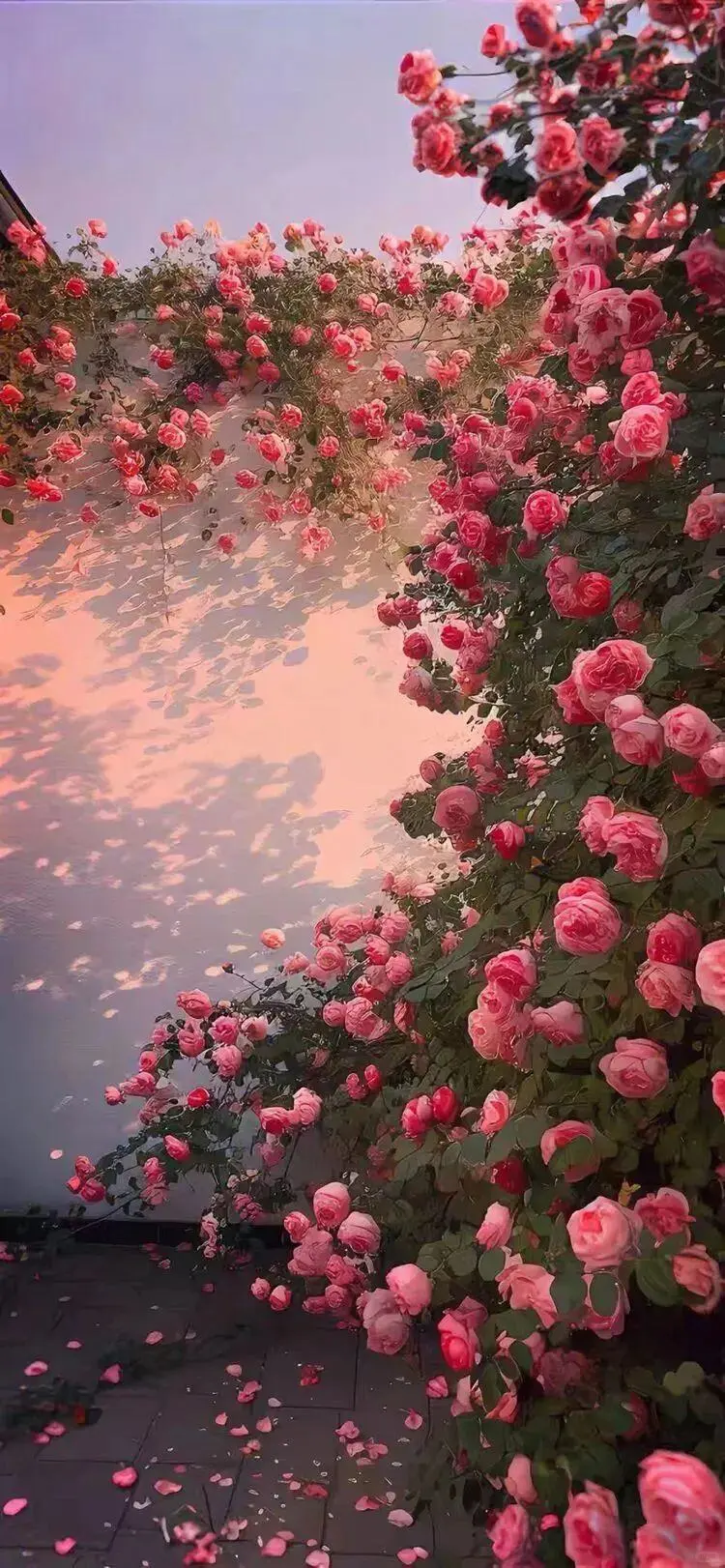 花墙