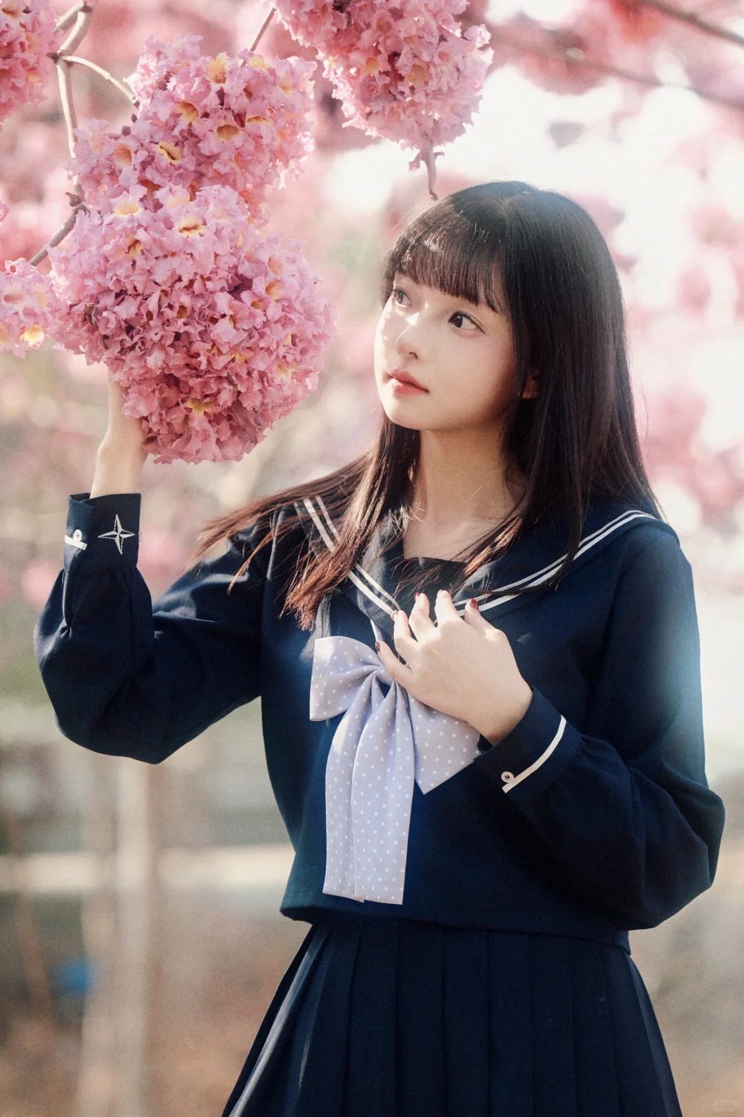 JK️紫花风铃木＝宇宙的终极浪漫