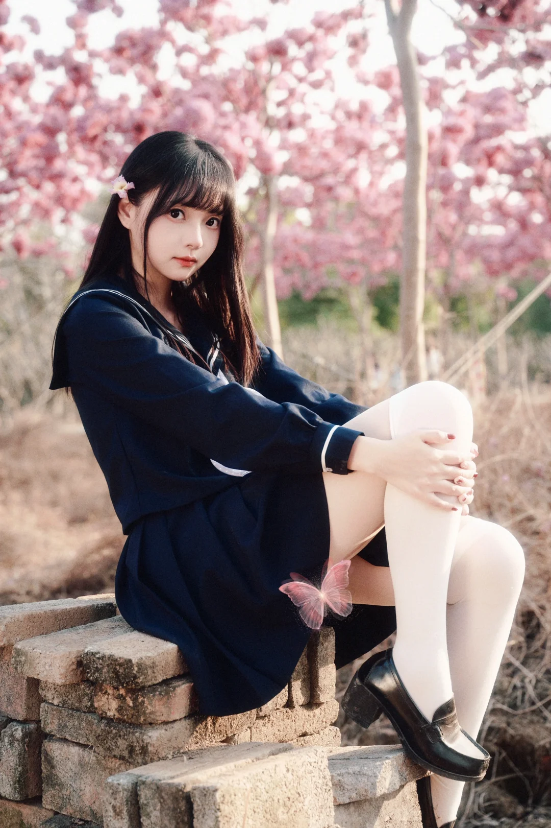 JK️紫花风铃木＝宇宙的终极浪漫