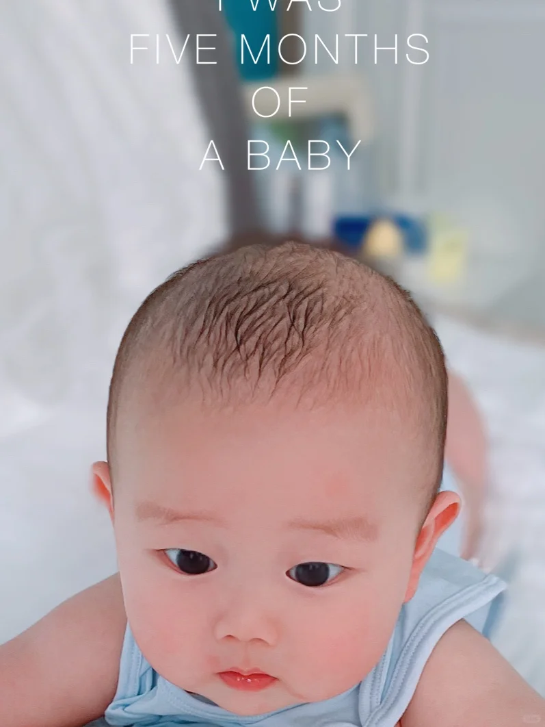 废爹妈的私房照