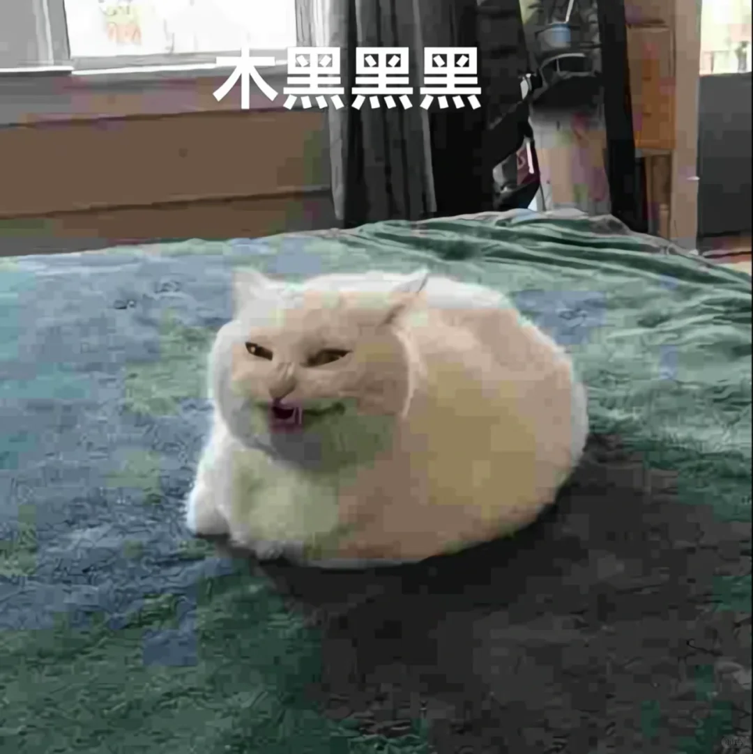 寻模特！