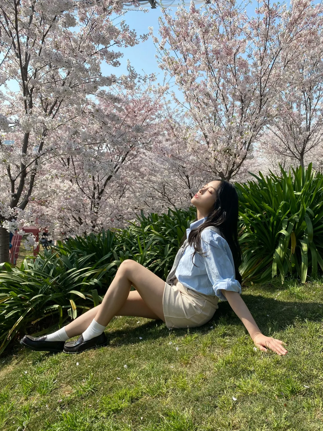 春日限定|在漫花庄园拍了组韩女写真