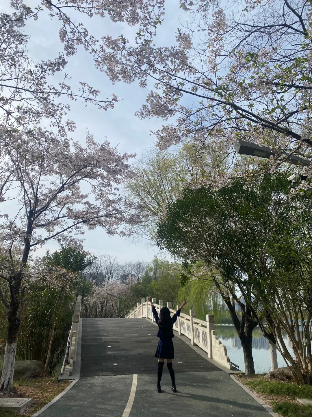 春天只开花