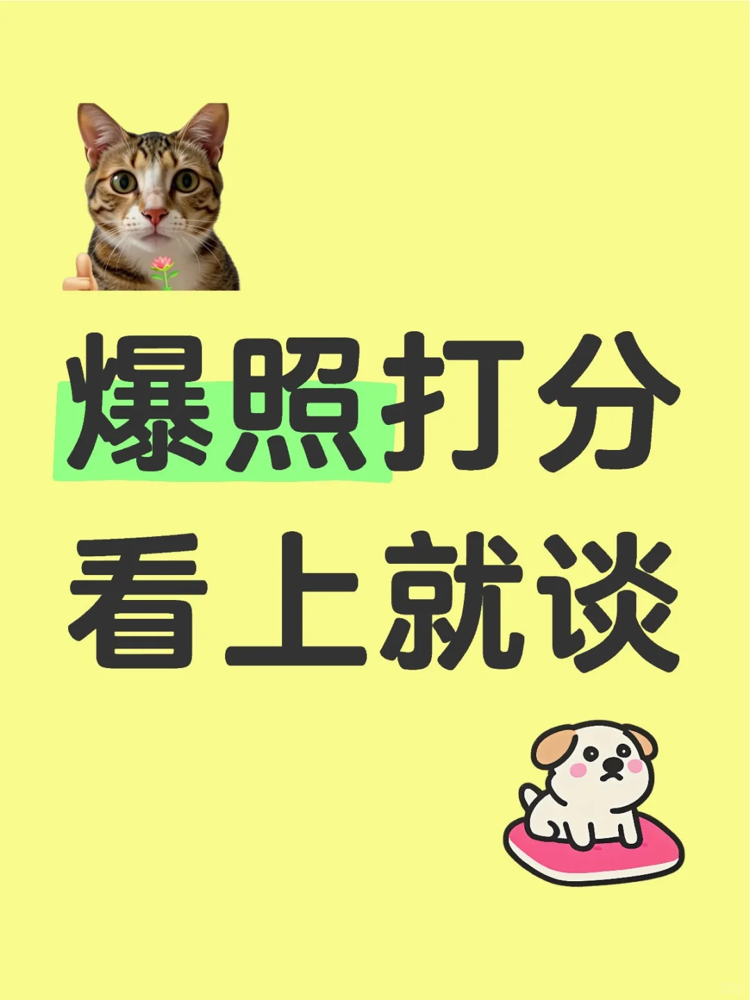 颜值打分「严格版」，玻璃心勿扰！