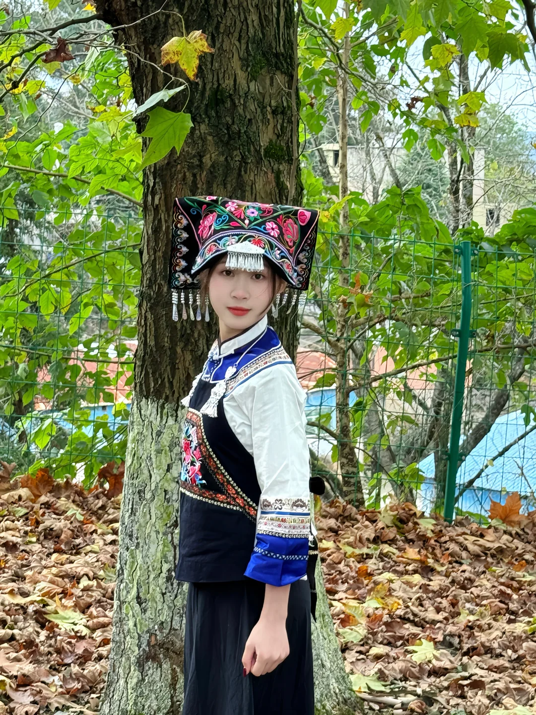 布依