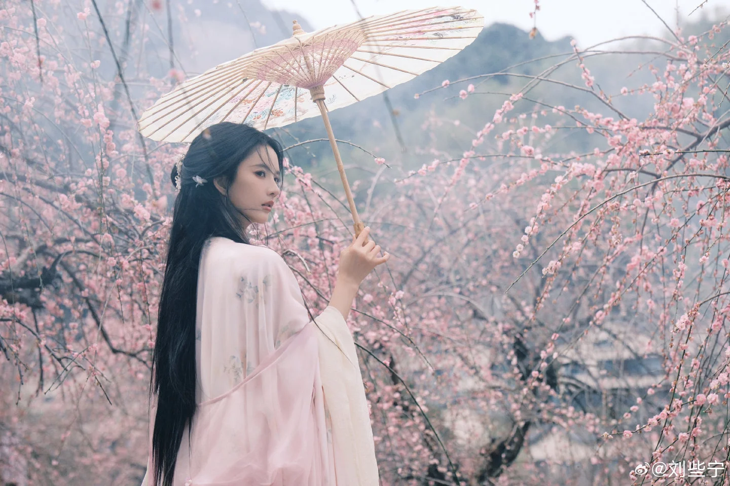 “人面桃花相映红”我看到仙女下凡了！