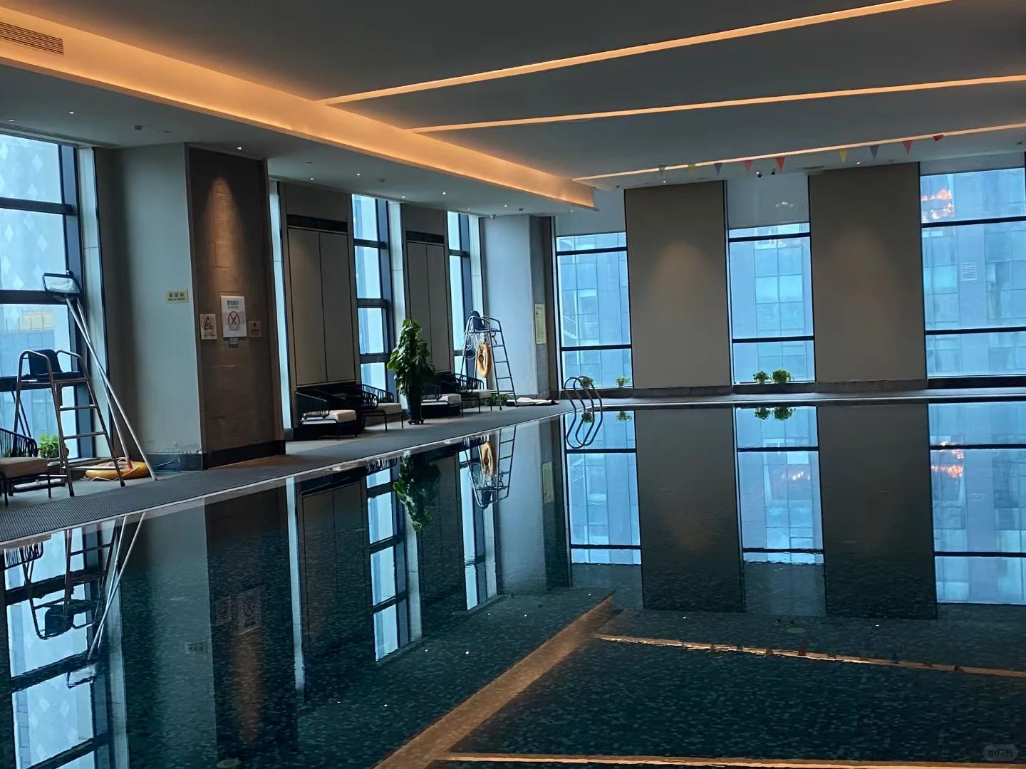 🏊‍♀️游泳的10大奇效！让你健康又美丽！🏊‍♂️