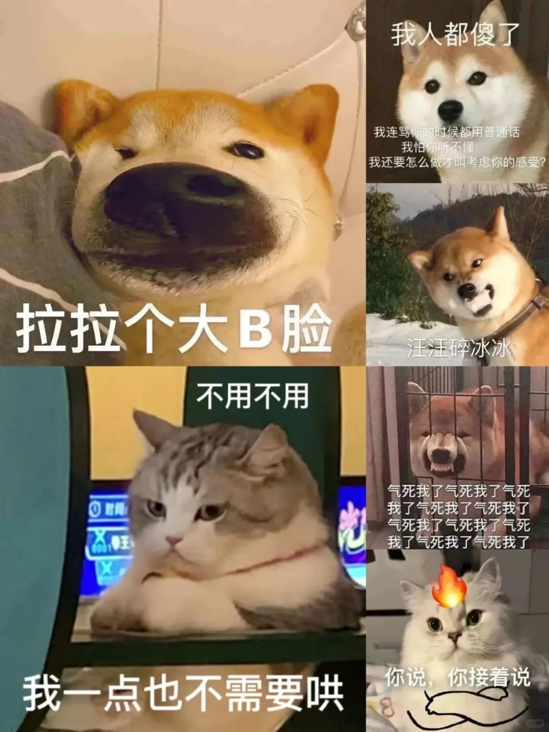 生气表情包，快给你的损友发