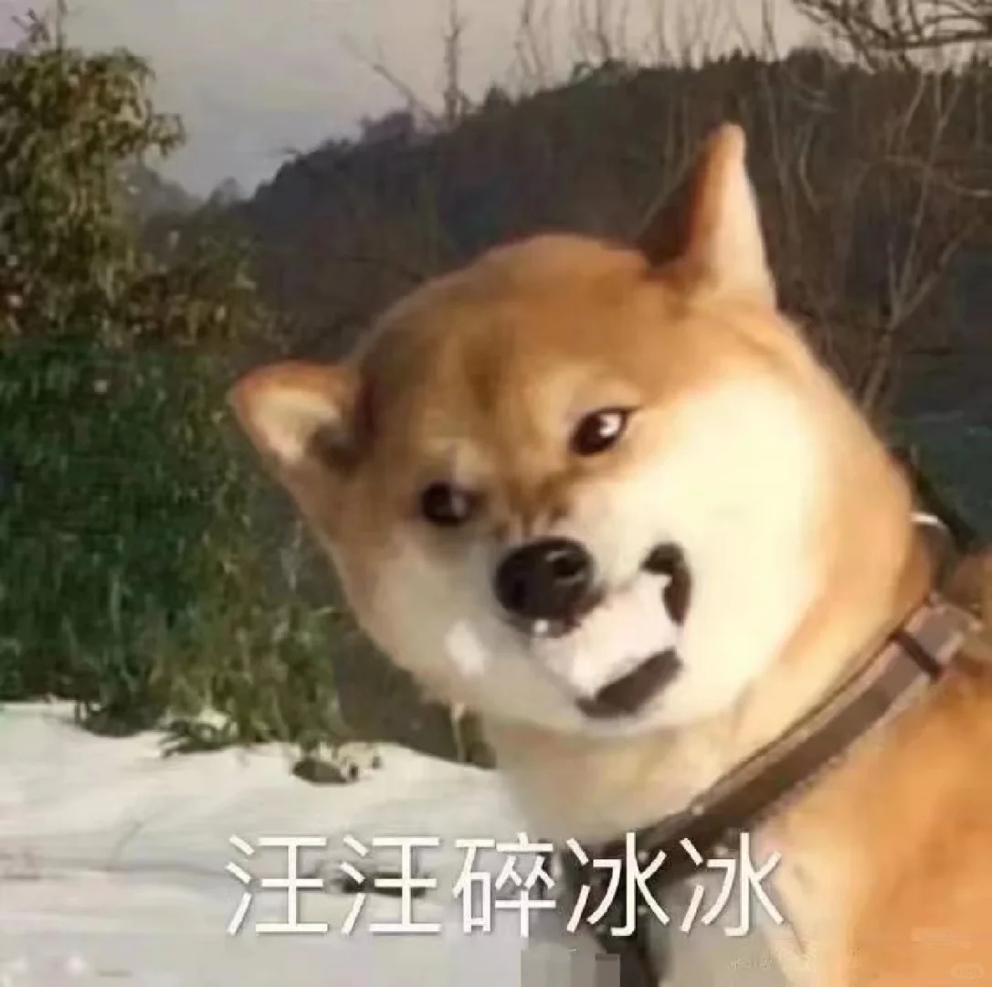 生气表情包，快给你的损友发