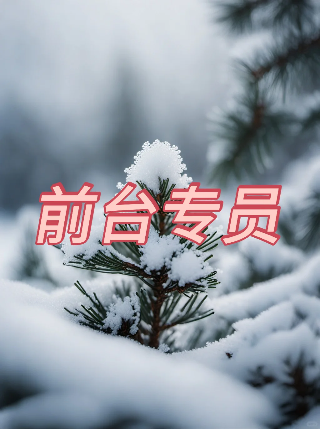 国企直招 ❤️女 30以内🫰🏻🫰🏻🫰🏻