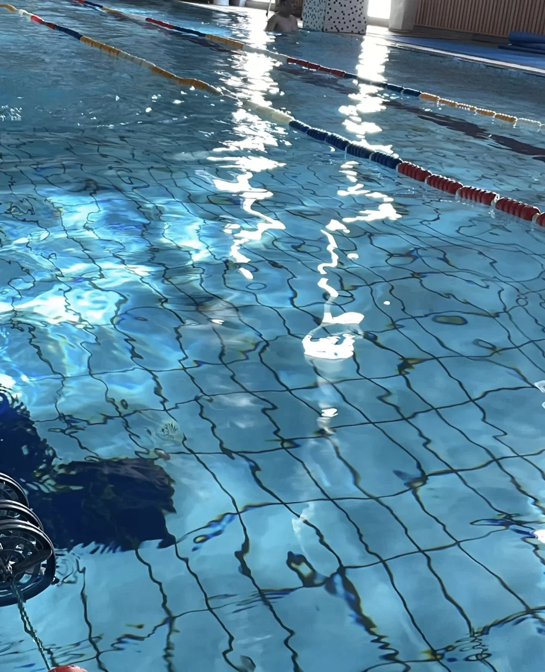 🏊游泳教会我的人生哲学，句句戳心！