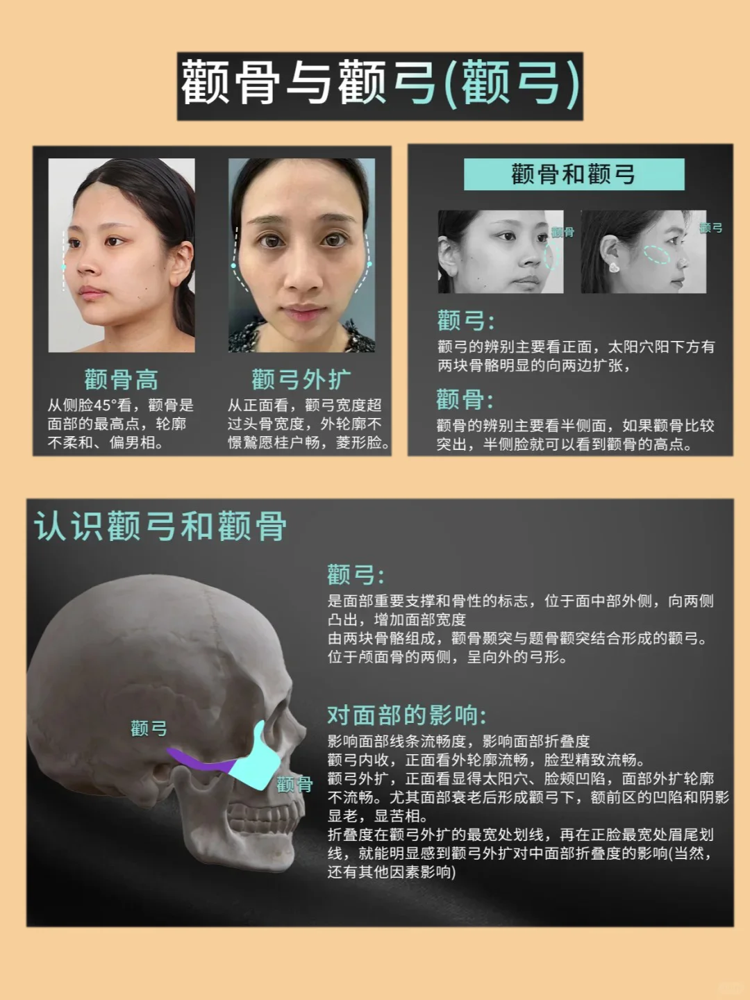 脸型不上镜:竟然是因为忽略这些骨点位