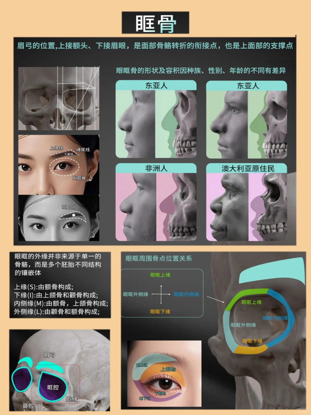 脸型不上镜:竟然是因为忽略这些骨点位