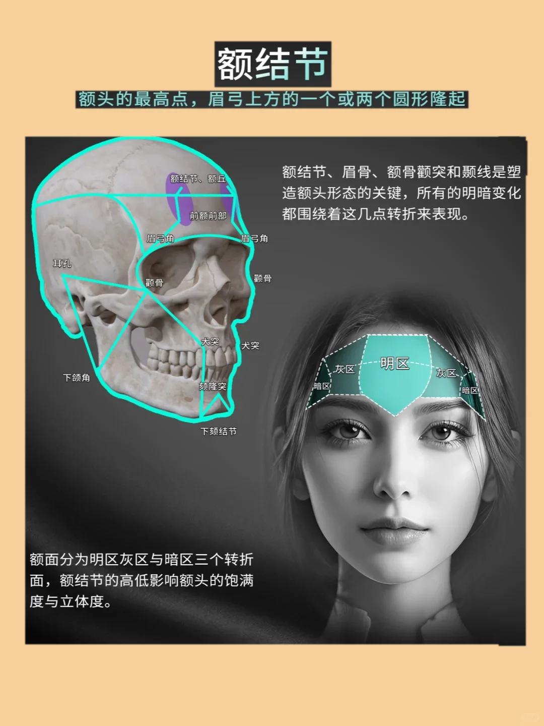 脸型不上镜:竟然是因为忽略这些骨点位