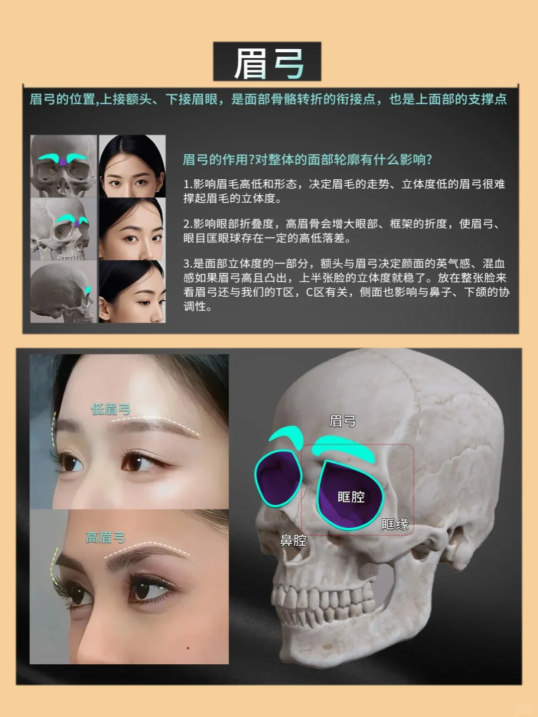 脸型不上镜:竟然是因为忽略这些骨点位