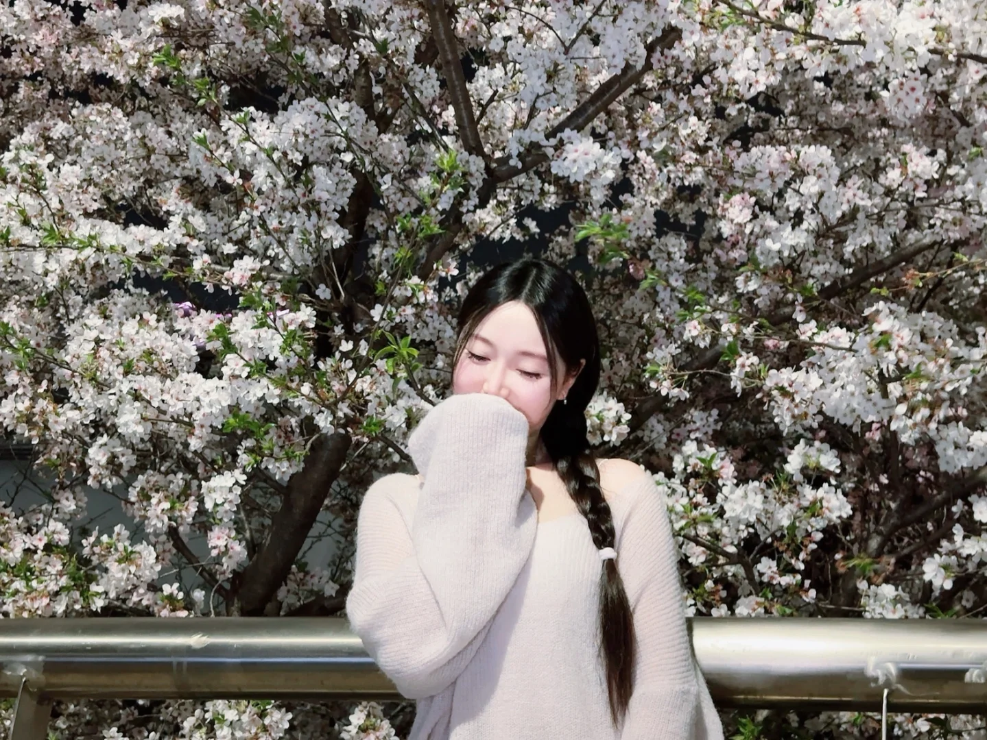 春城无处不飞花～
