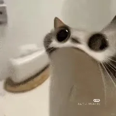 #搞笑表情包