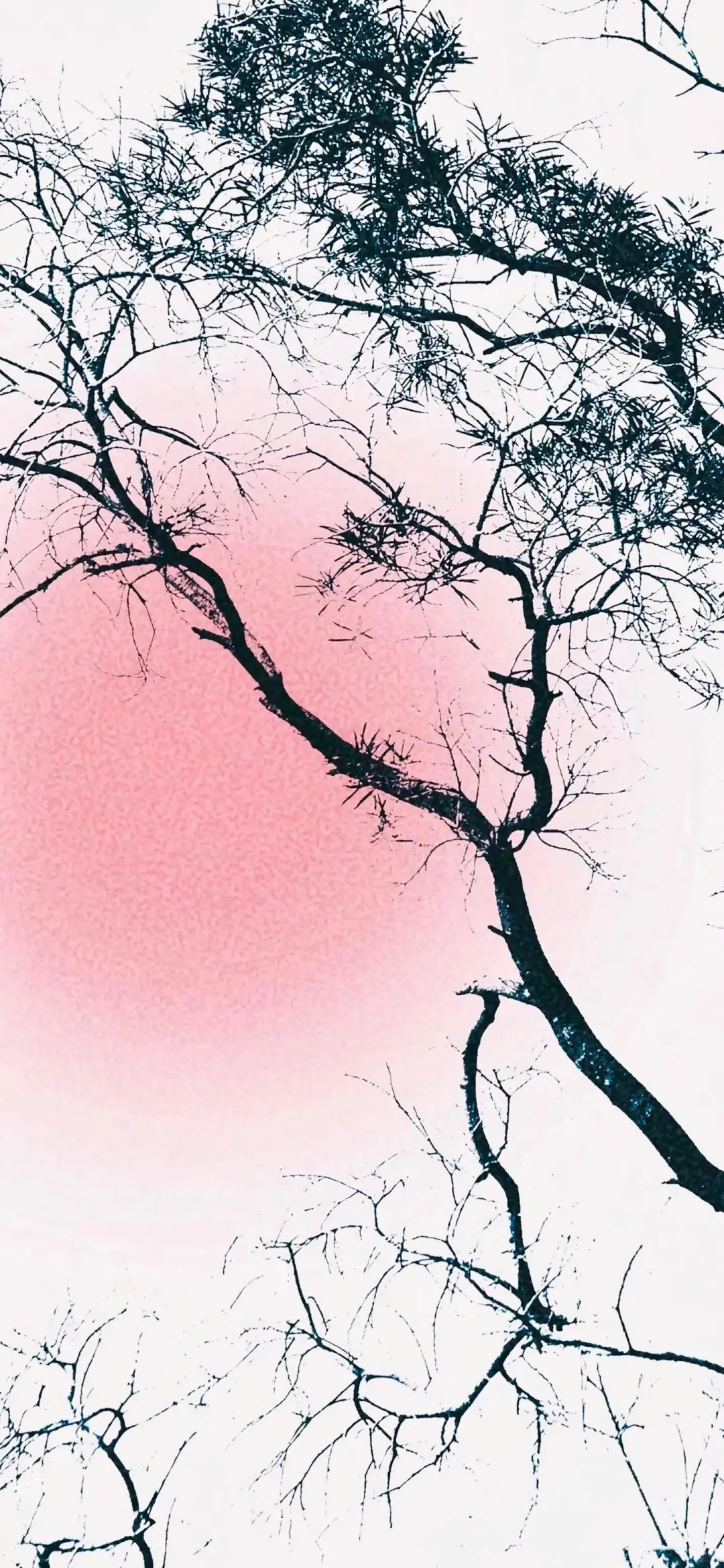 iPhone景深壁纸