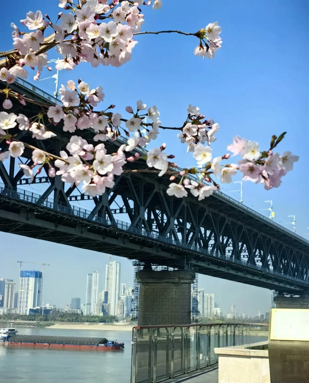 三月，明年再见