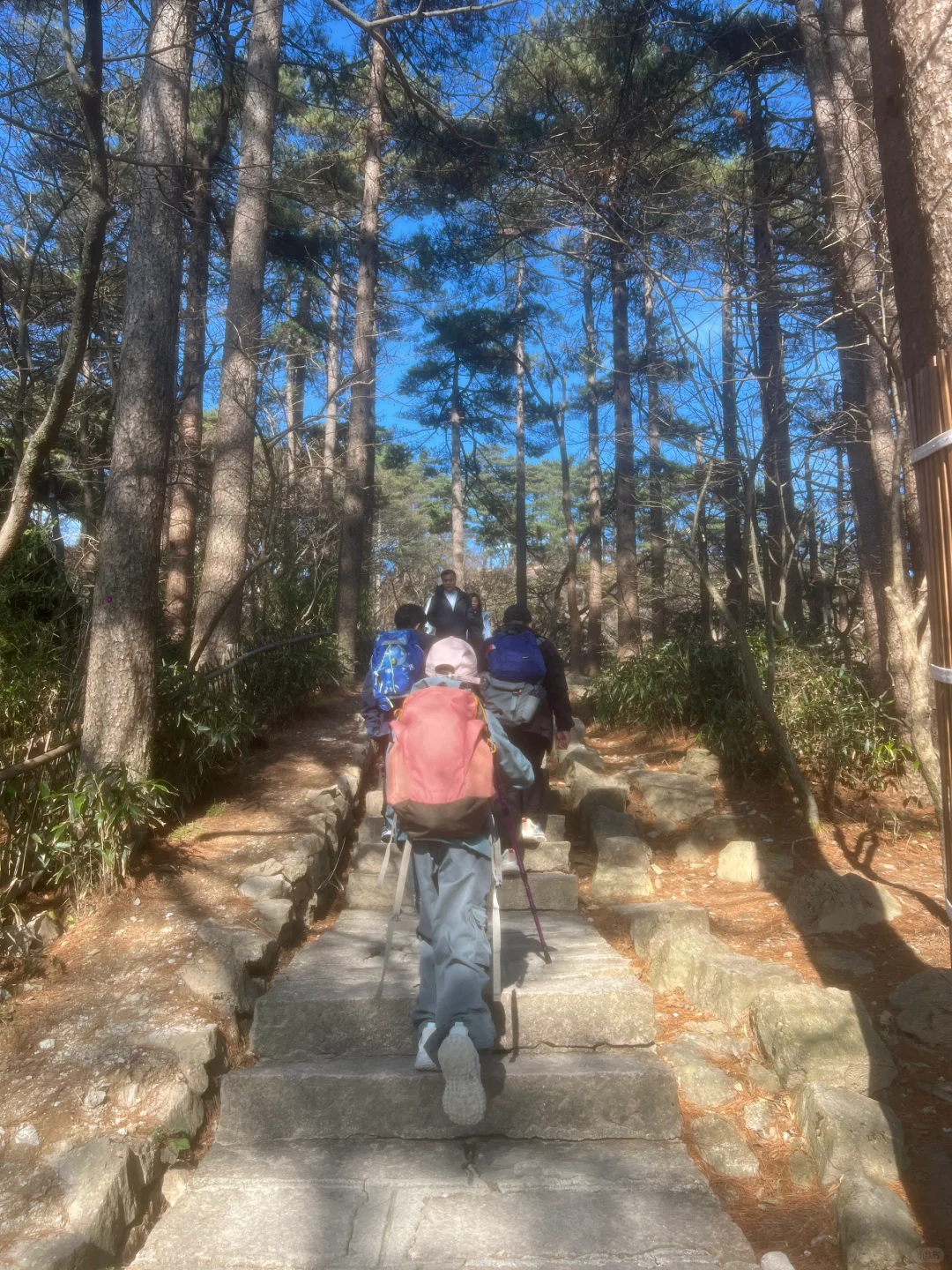 户外女孩最亮眼