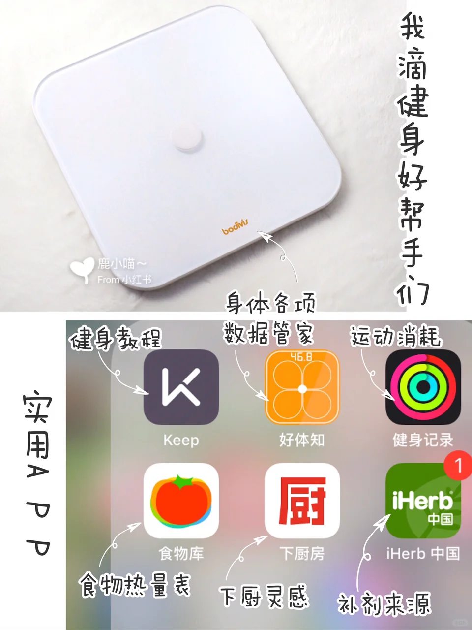 想要好身材️你需要懂得卡路里热量知识️