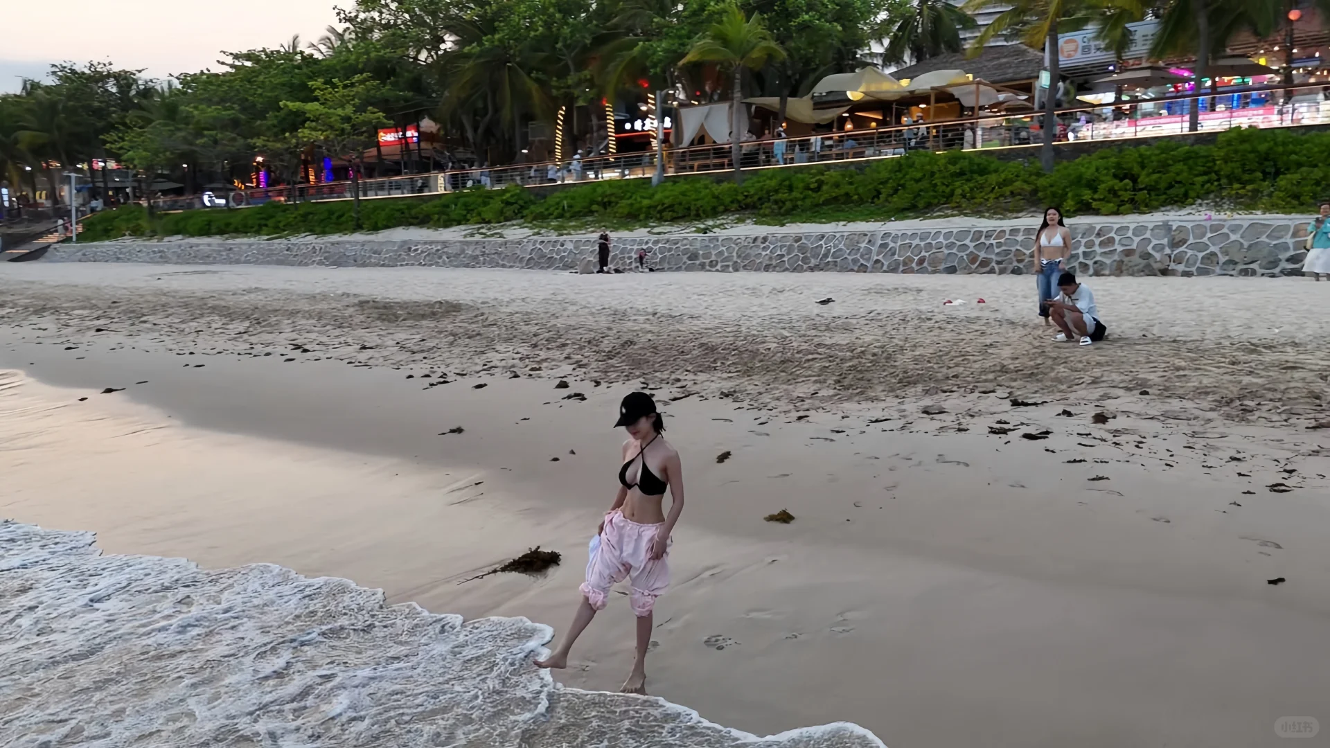 海边 自由 夕阳