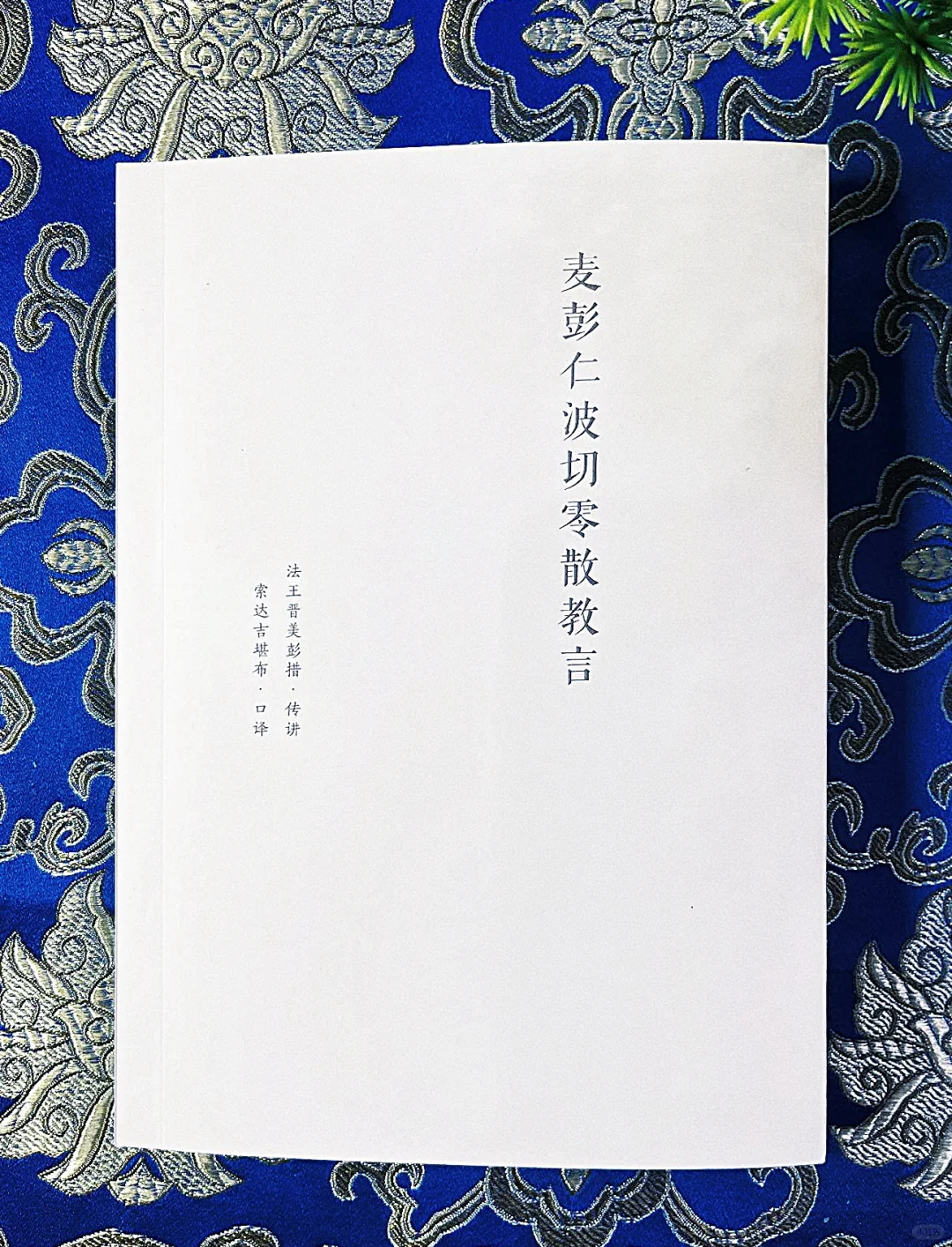 《麦彭教言》以妙观察智解开烦恼与惑网4
