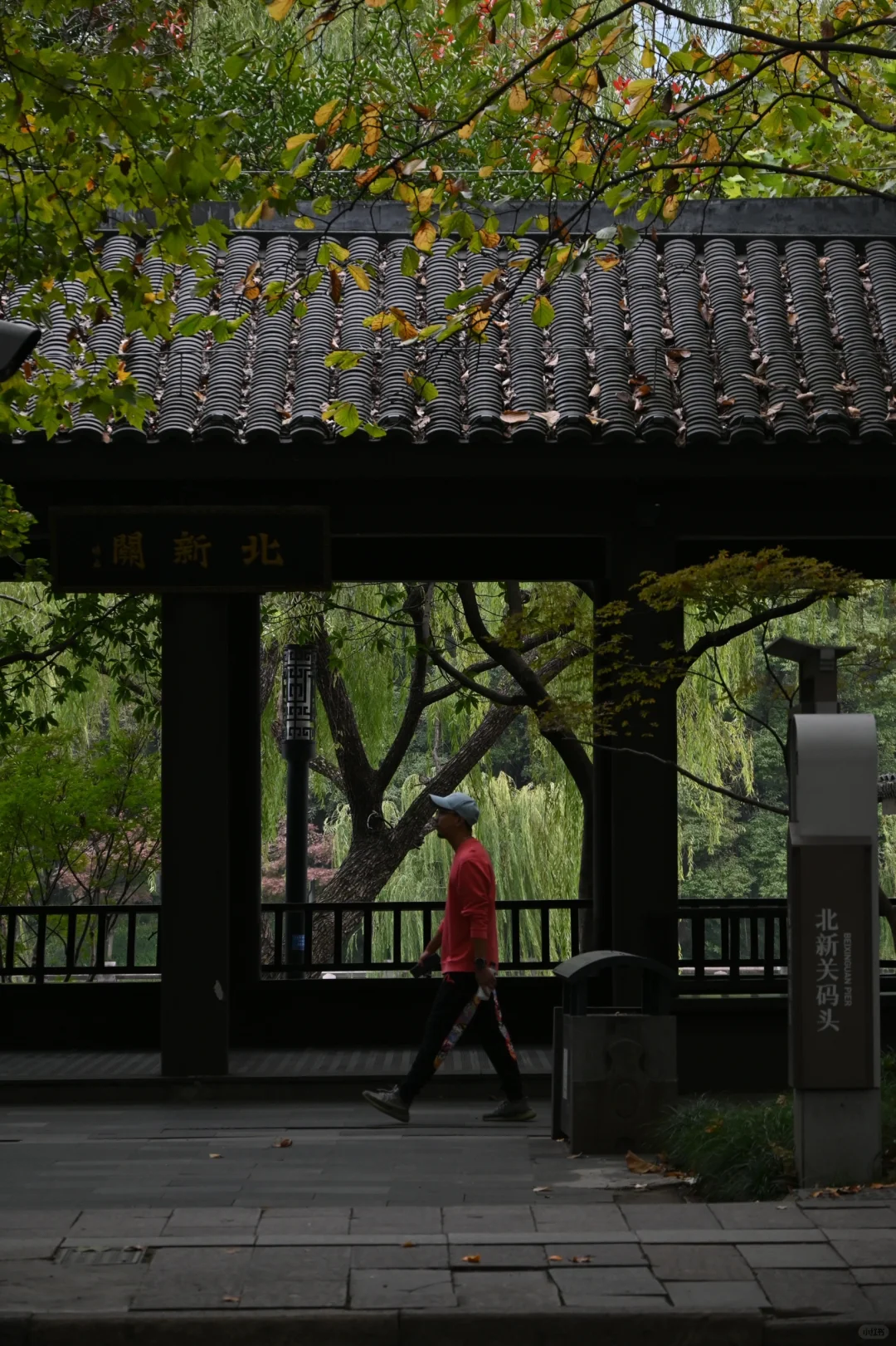 我镜头里的路人