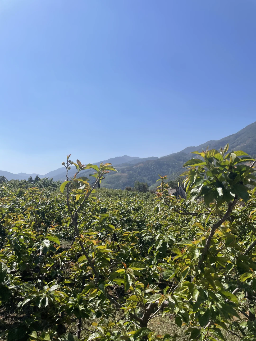 没人要我就拿走了……