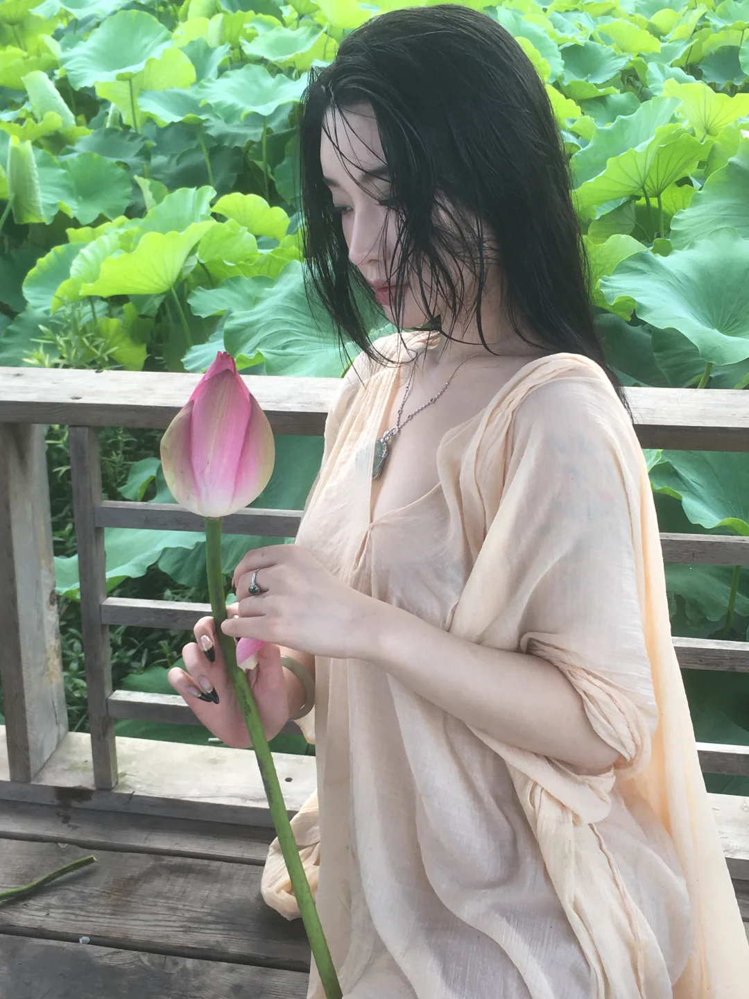 荷花池老子回来了
