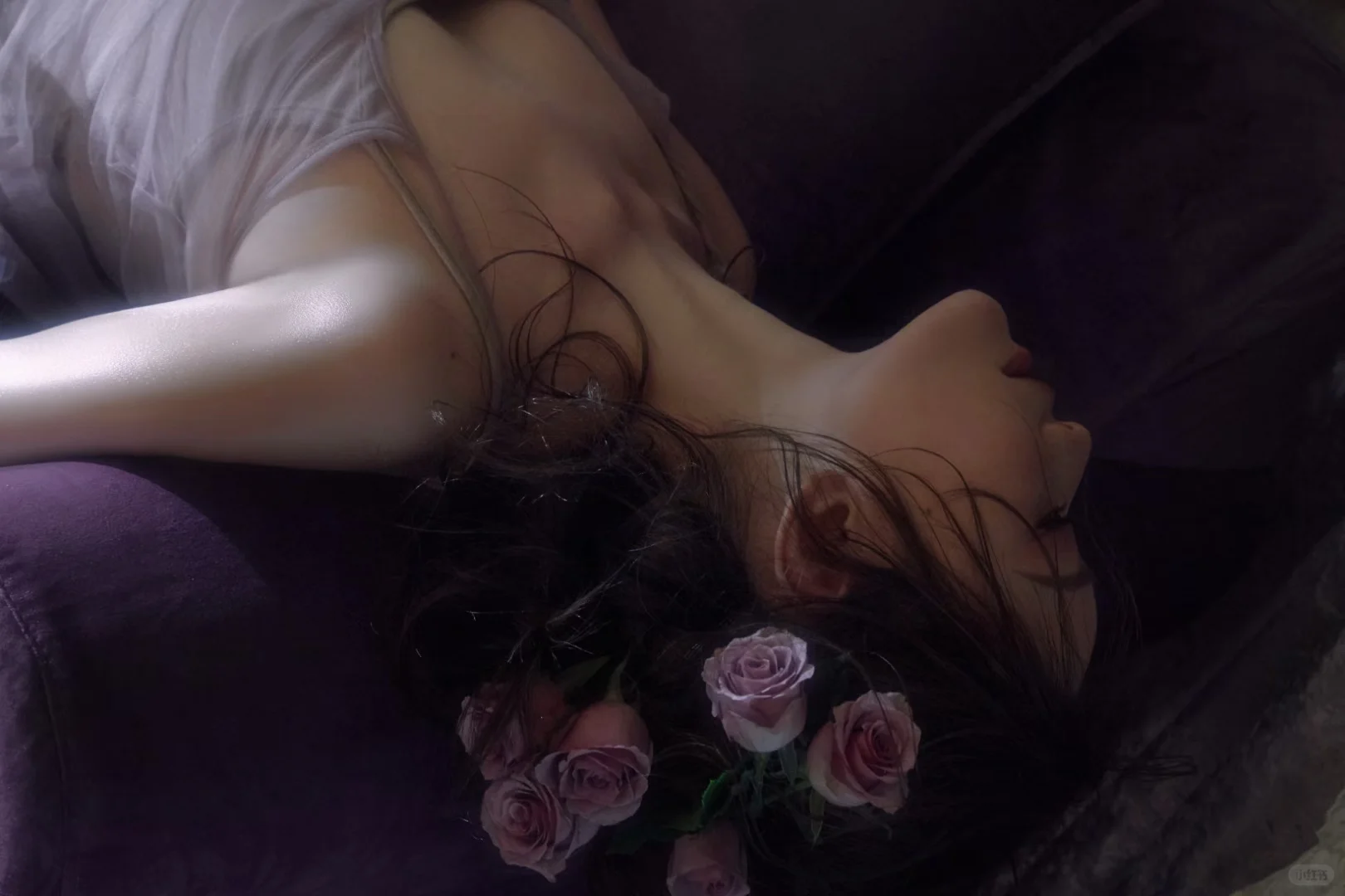 【20】 ‧₊˚落日弥漫的紫