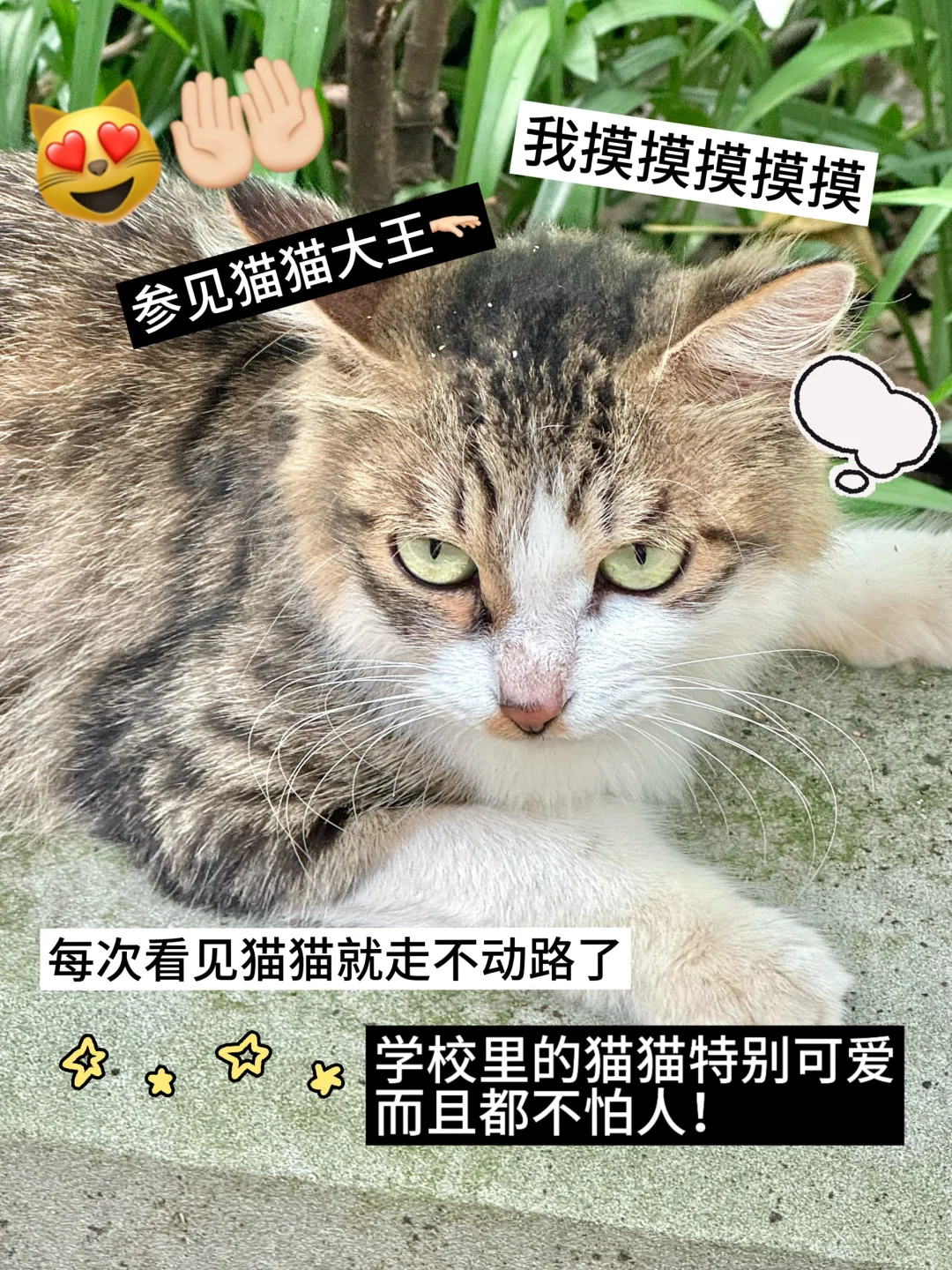 ?08 女高｜幸福的一周小记‼️?