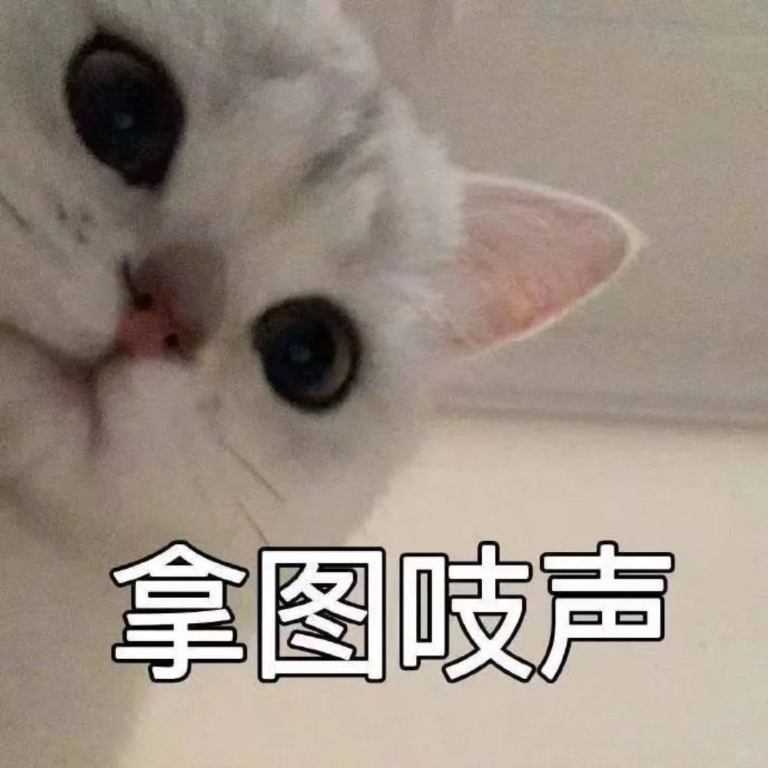 头像｜小众女生头像
