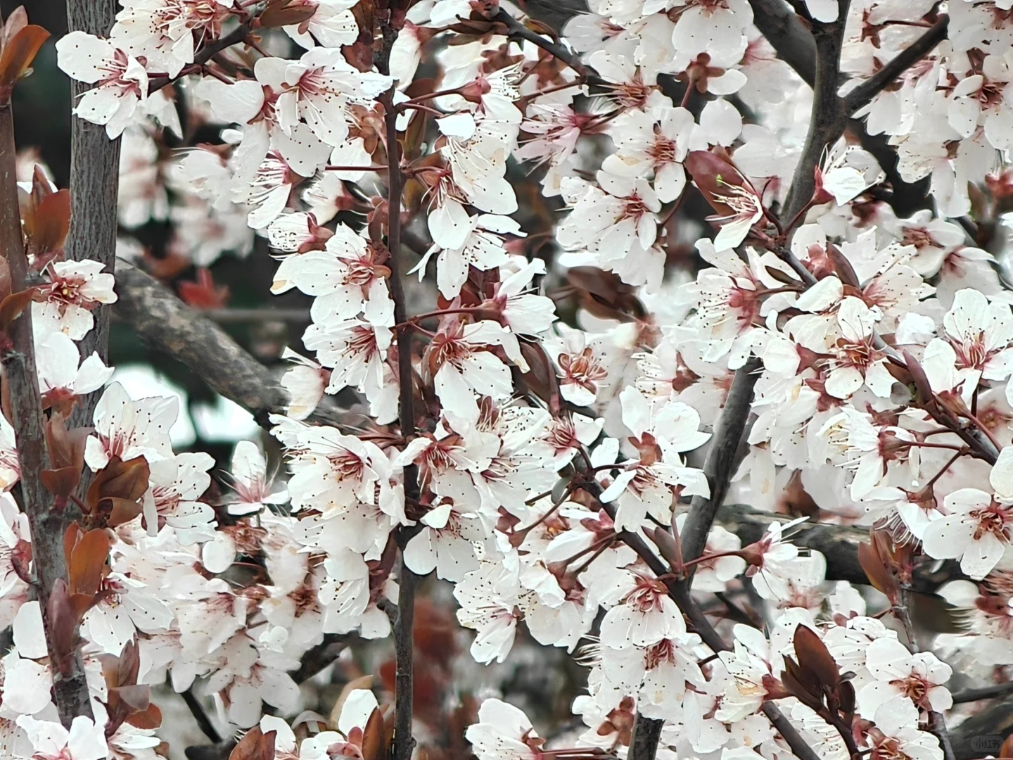 今日文案